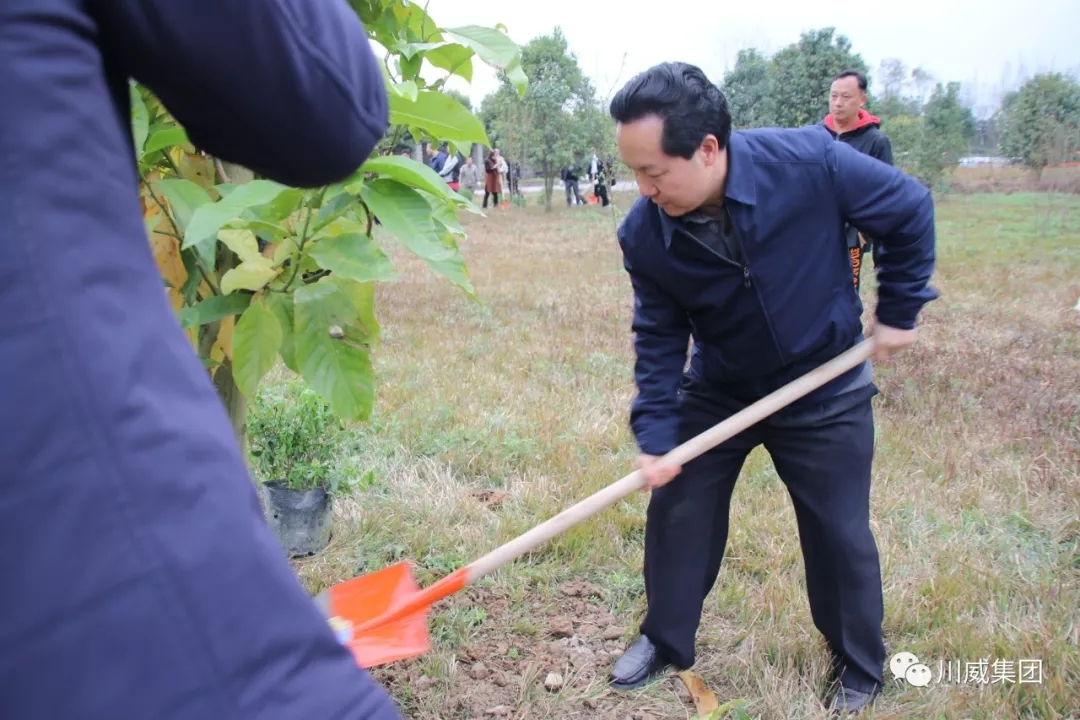 川威集团举办2019年植树节活动(图2)