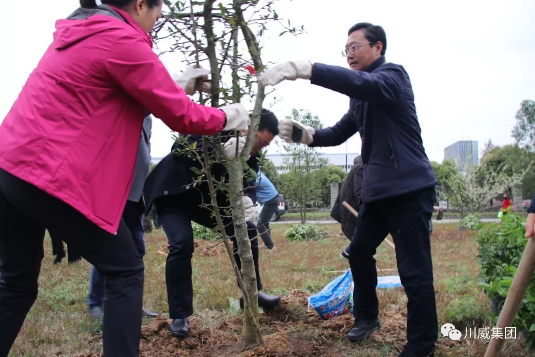 川威集团举办2019年植树节活动(图3)