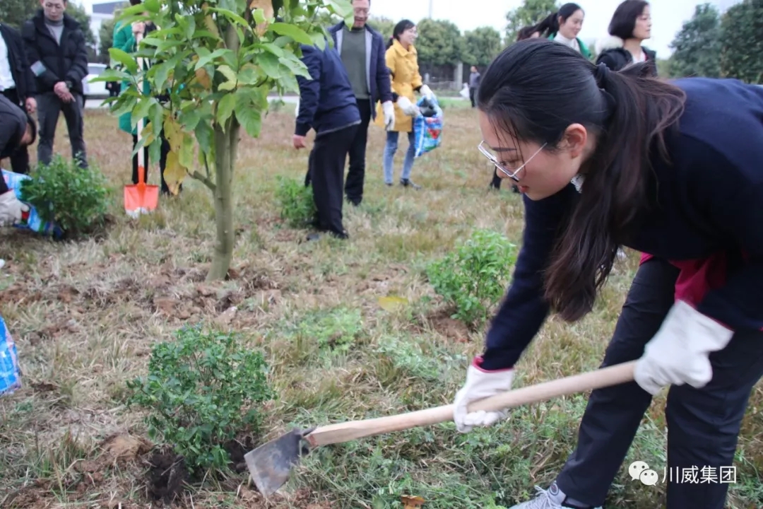 川威集团举办2019年植树节活动(图4)