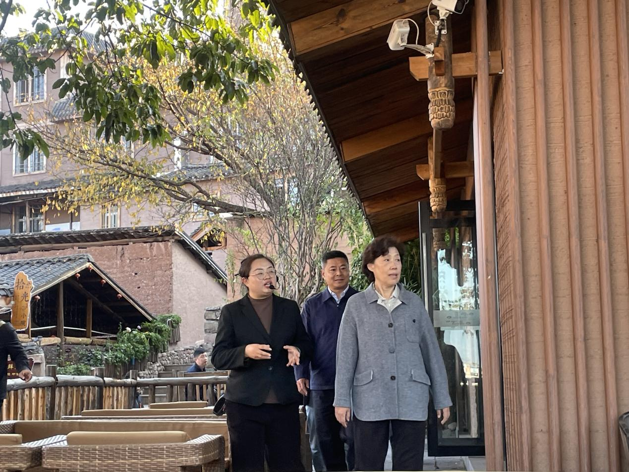 省政协主席田向利调研大石板乡村振兴项目(图2) 省政协主席田向利调研大石板乡村振兴项目(图2)