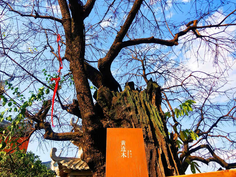 大石板古村:保护利用让历史文化“活”起来 ——全省城乡建设历史文化保护利用工作现场会在西昌大石板古村召开(图3) 大石板古村:保护利用让历史文化“活”起来 ——全省城乡建设历史文化保护利用工作现场会在西昌大石板古村召开(图3)