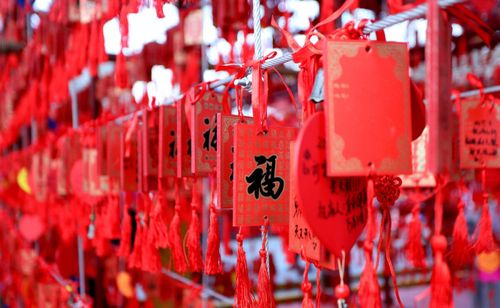 喜气洋洋闹新春 丰富活动助你迎新年(图4) 喜气洋洋闹新春 丰富活动助你迎新年(图4)