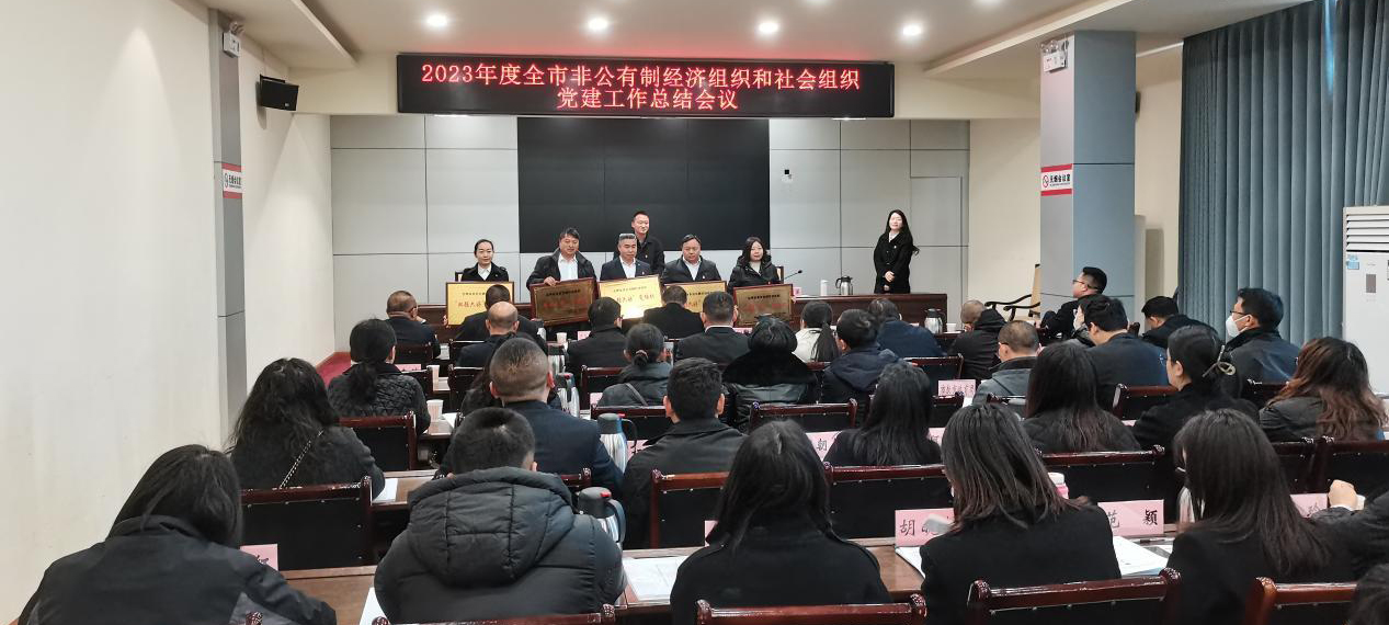 喜讯！矿业总公司财通公司党支部荣获会理市“双强六好”党组织称号(图3)