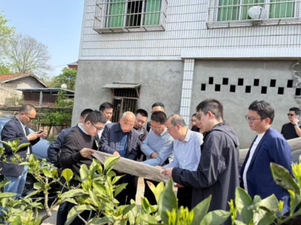 简阳市委市政府全力推进葫芦坝乡村振兴项目 (图2) 简阳市委市政府全力推进葫芦坝乡村振兴项目 (图2)