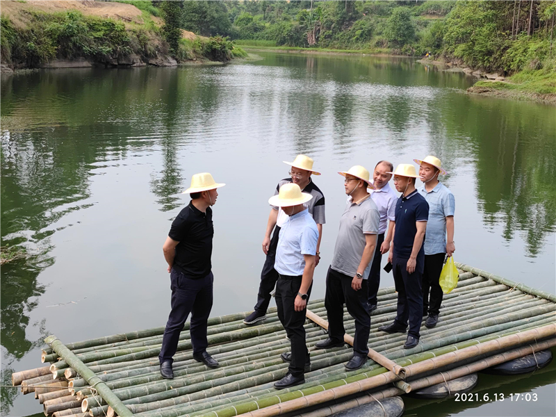 集团公司王劲董事长视察穹窿植物园建设现场